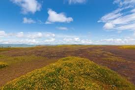 Panchgani Table Land scenic view